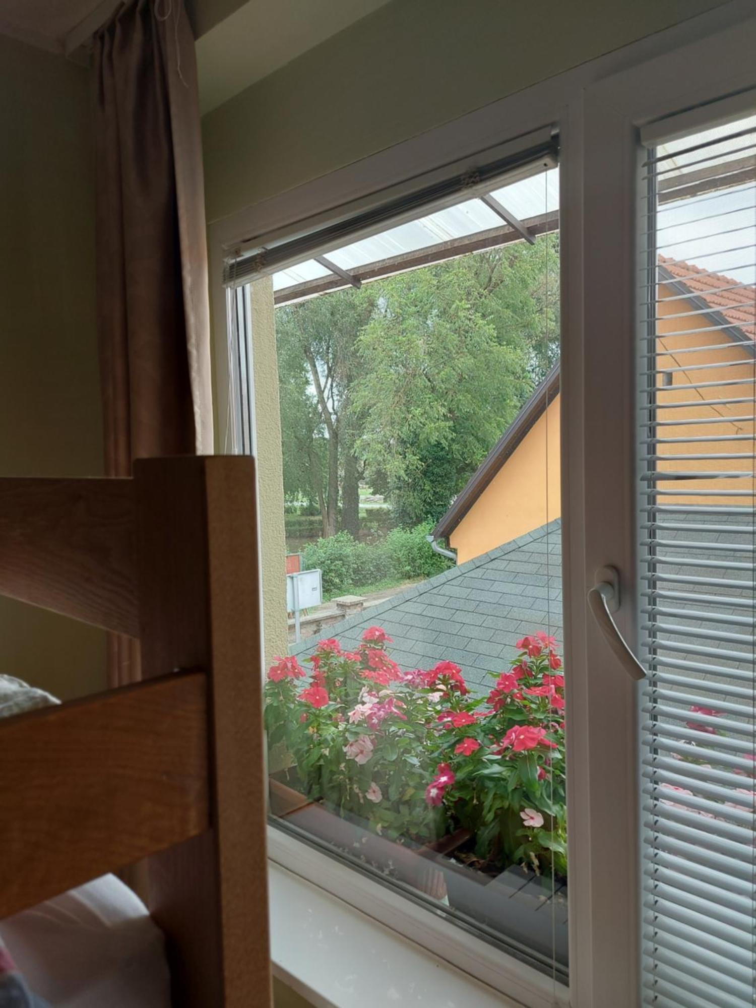 Apartman Kovac-Билье Номер фото